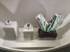 -安徽省地质博物馆