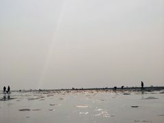 -北海金海湾红树林生态旅游区