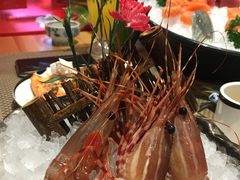 -菊上尊品料理(蚌埠银泰店)