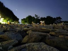 -宝安西湾红树林湿地公园