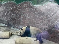 -黔灵山公园