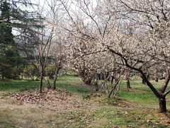 -东湖落雁景区