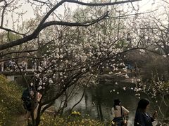 -石家庄市植物园