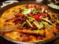 -老板恋上鱼(高新万达店)