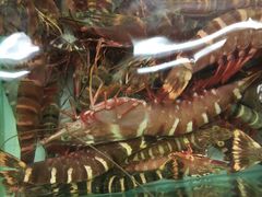 -班赞海鲜市场