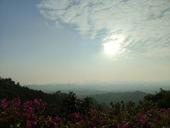 -火炉山森林公园