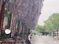 -芜湖方特东方神画