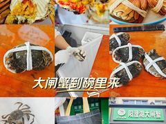 -阳澄湖大闸蟹·琼灵阁牌品牌连锁(吴中总店)