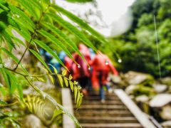 -尧山风景区