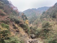 -东天目山风景区
