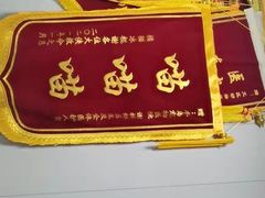 -半岛宠物医院24小时(科华中路店)