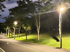 -牛岗山公园