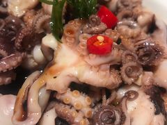 芥末章鱼-鸽子侯·家宴·平价海鲜(市图书馆店)