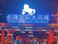 -广州长隆国际大马戏