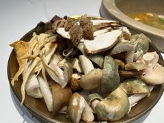 -七采菌园·野生菌石锅鱼(环城北路店)