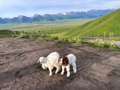-新疆那拉提国家旅游度假区