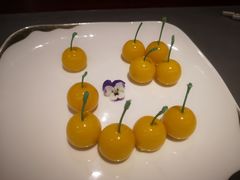 -燕春楼(海河华鼎店)