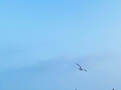 -星海广场