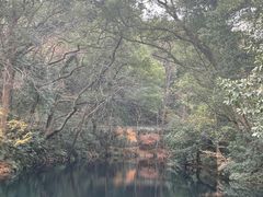 -之江大学-旧址