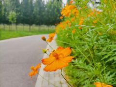 -东郊湿地公园