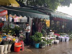 -桂林市花鸟市场