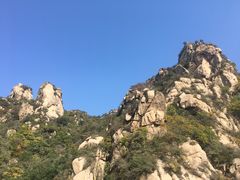 -大岭沟猕猴桃谷风景区