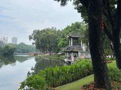 -荔湾湖公园