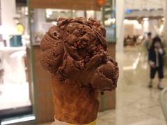 黑巧克力冰淇淋-LUNEURS月乐诗 冰淇淋咖啡(环贸店)