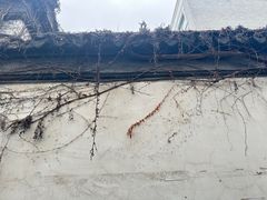 -阿木舂记·特色小吃(平江路店)