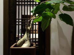 -德迹斋禅意文化茶馆·茶空间·商务洽谈•宴席(桃园店)