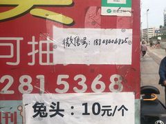 -邓氏兔头