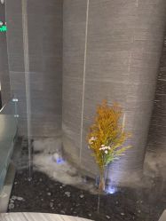 -美壹生皮肤管理中心