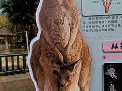 -南宁市动物园