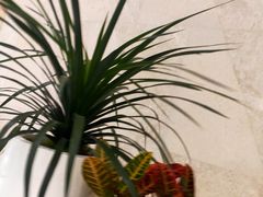 -杭州平安悦坊 PAFC LIVING