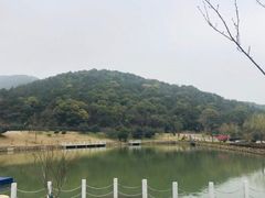 -龙寺生态园