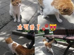 -北京市劳动人民文化宫(太庙)