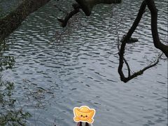 -蒋氏故居
