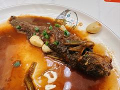 红烧昂刺鱼-状元楼(金溪路店)