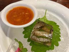 冰镇土笋冻-临家闽南菜(宝洲路店)