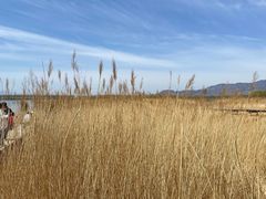 -野鸭湖国家湿地公园