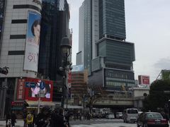 -涩谷区