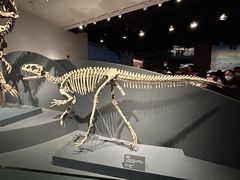 -自贡恐龙博物馆