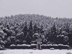 -秦始皇帝陵博物院-丽山园