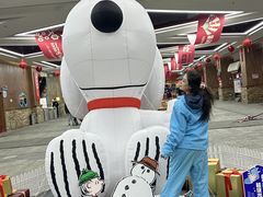 -哈尔滨热雪奇迹
