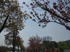 -自然谷恐龙园