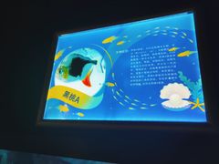 -常州海昌海洋探索馆