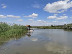 -宁波杭州湾国家湿地公园