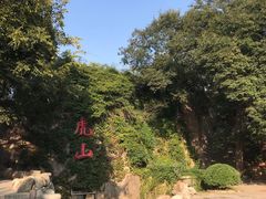 -青岛动物园