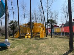 -合肥滨湖国家森林公园