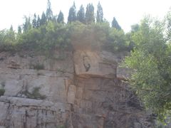 -原山国家森林公园